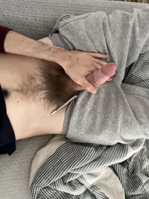 My bush in all its furry glory. by cddc8990