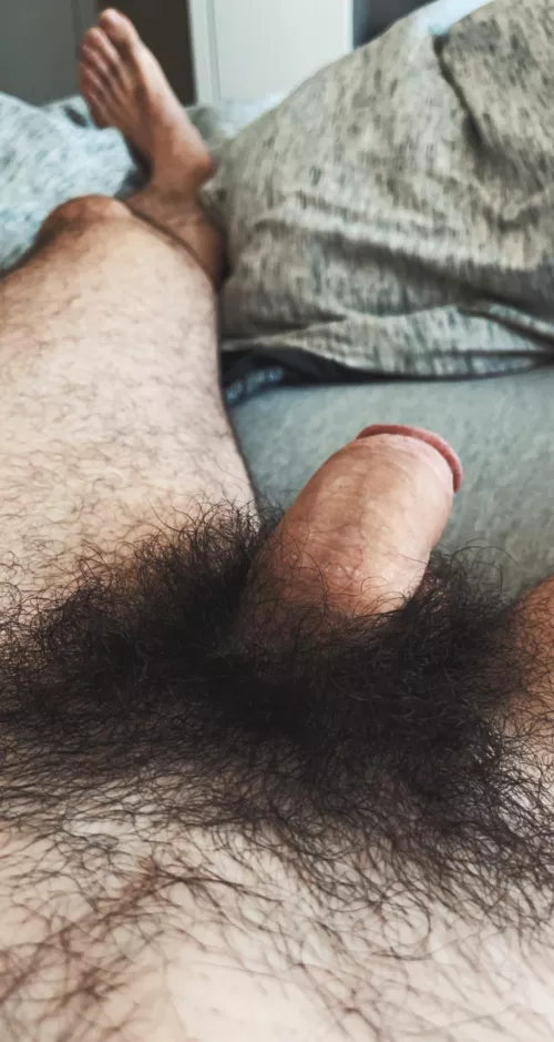 My bush is definitely my best feature.. by Ace_Carter