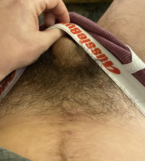 My bush is ready for winter by Bushyguy67