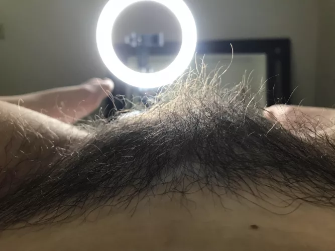 My bush is ridiculous! by imbabykat