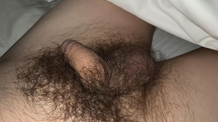 My bush says hello by jxffco