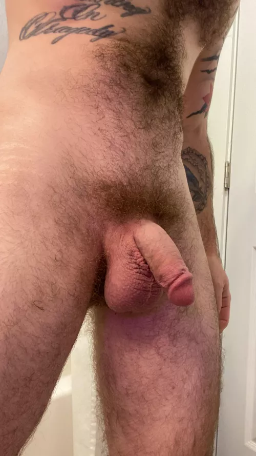 My bushy softie by barista-chasetofer