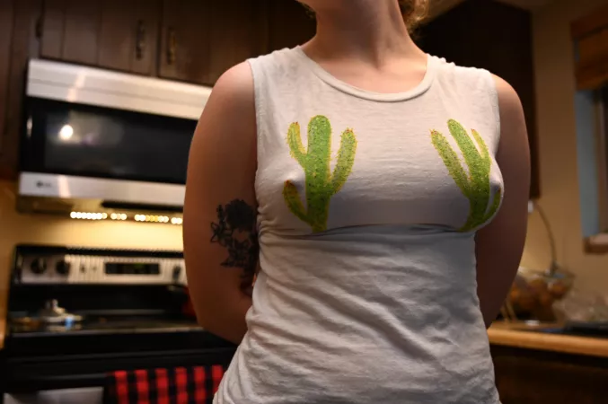 My cacti are in full bloom today 😉 by Lilly_in_Bloom