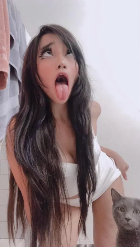 my cat made a feature! 😳 by ilyanyway