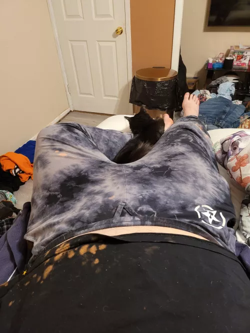 My cat seems to think it's a comfy place to settle 😘 by matrontea