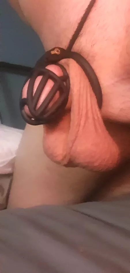 My cherrys need popping. by glennwill98