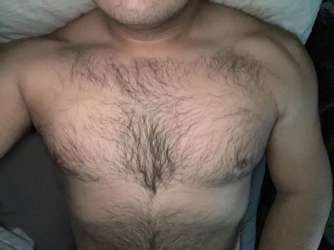 My chest hair by curvedjimy