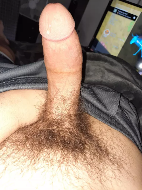 My cock before I decided to shave. Should I grow it out again? by magnitude120