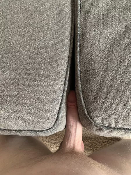 My cock ended up in a couch again by spac54321
