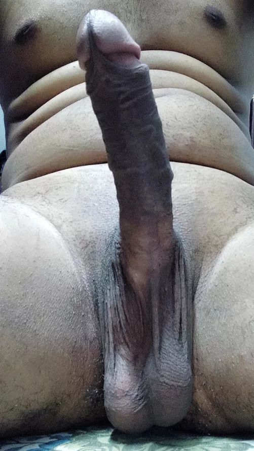 My cock is always excited by No_Editor_8691