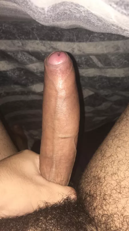My cock is feeling that extra bit thicker today, anyone wanna give me a hand with it? All DM’s welcome 😉 by HealMeMercy