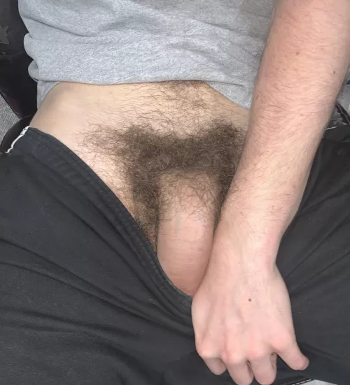 My cock is ridiculously hairy by Short_Oil