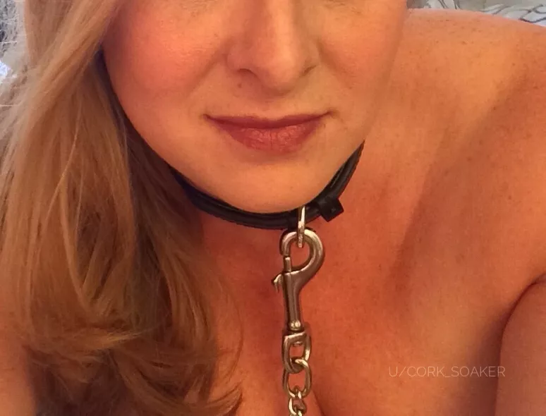 My collar makes me feel beautiful posted by Cork__Soaker