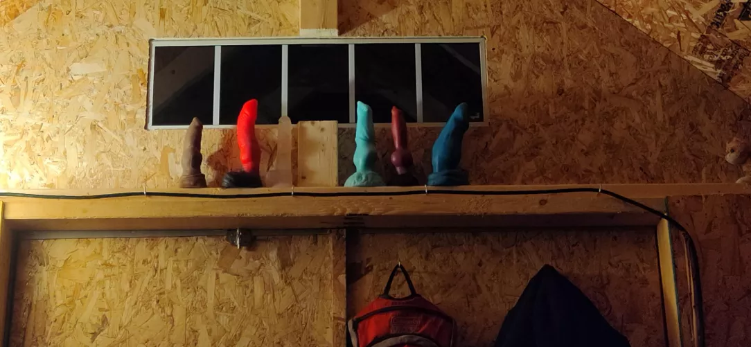 My collection so far, getting 4 new ones in the next few days >w< by TyrantTheGayWolf