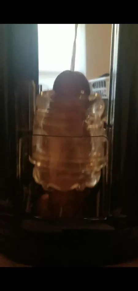 My cumshot ❤ by allmystuxx