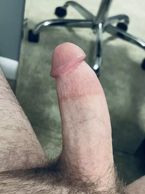 My cut cock by Charge_14