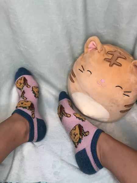 My cute sweaty cat socks 😻💦🧦 who wants to worship them? DM me if interested in purchasing💕😼 by tiptoe_kitty