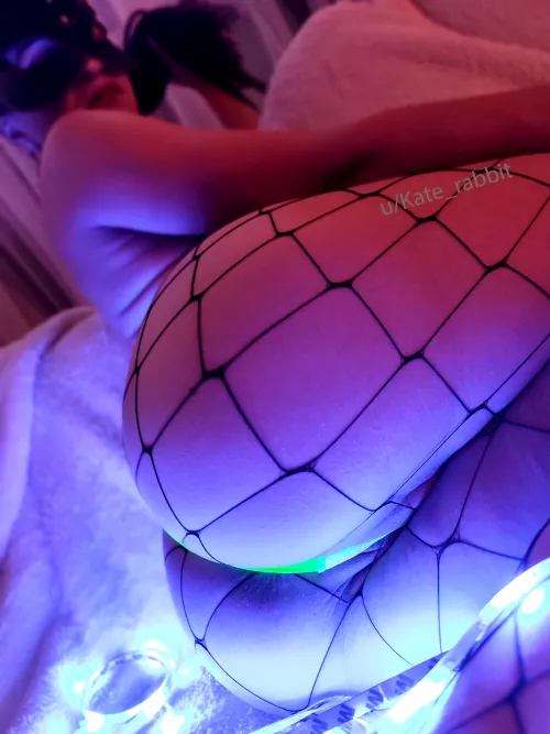 My daddy is on a business trip. I miss him. I am having fun as much as I can. by Kate_rabbit