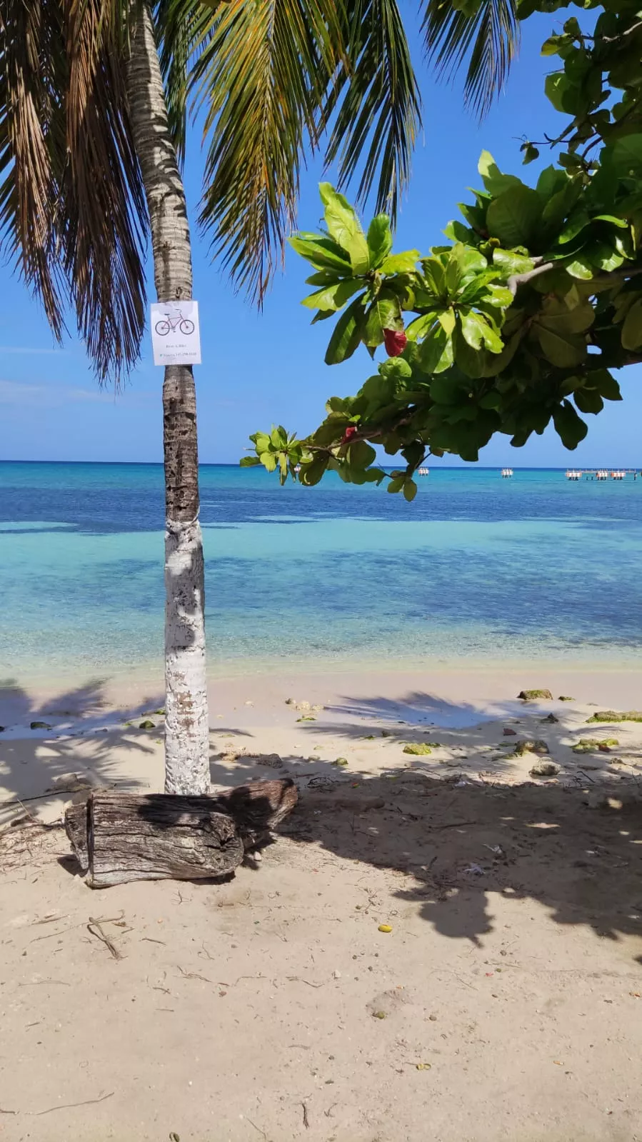 My day today.. :) posted by Prior_Can8317