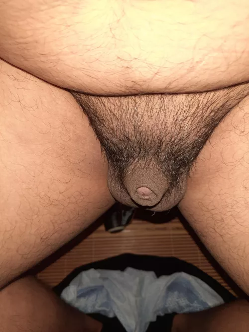 My dick [23] by alex_hunderson4