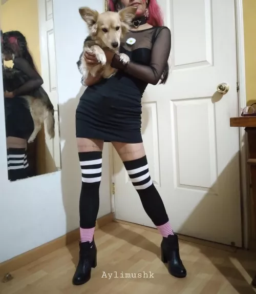 My doggo was part of my revealing outfit for halloween. by aylimushk