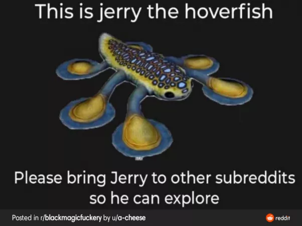 My duty homies remove if you require by userboi234