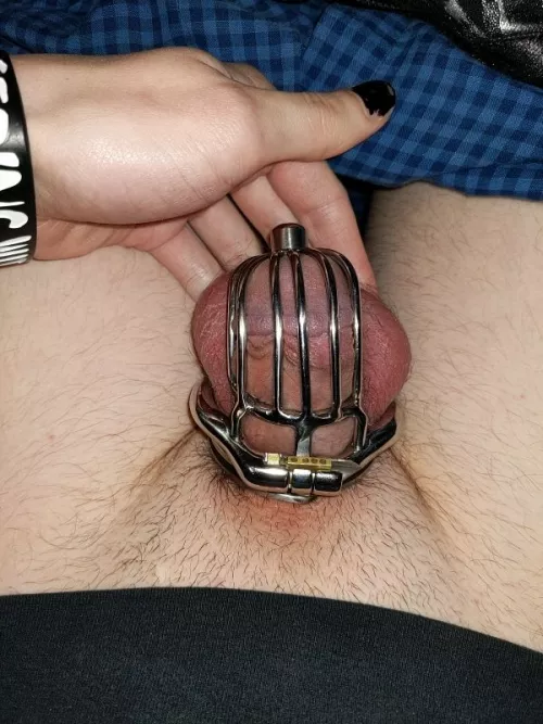 My emo punk cock locked up, DMs from anyone welcome by Kyoshi20