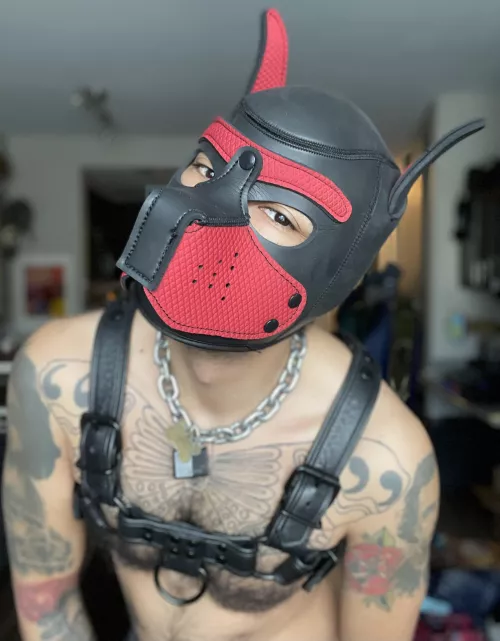 My face when you say, “happy birthday, Hunter!” by The_WASP_Hunter