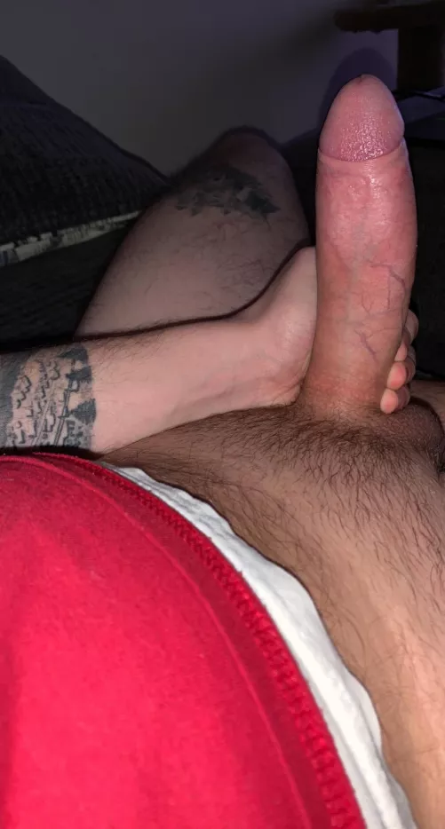 My fat cock is here to stretch out all your holes by myfatcock7
