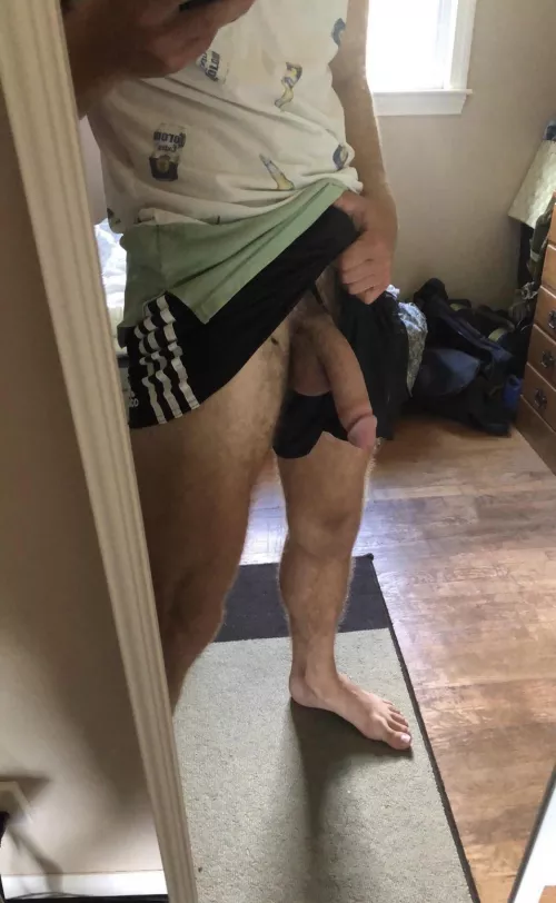 My fat softie by Bigfromma