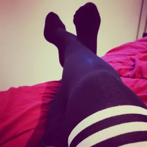 My favorite pet gifted me these socks. What do you think? by ursa-majorr