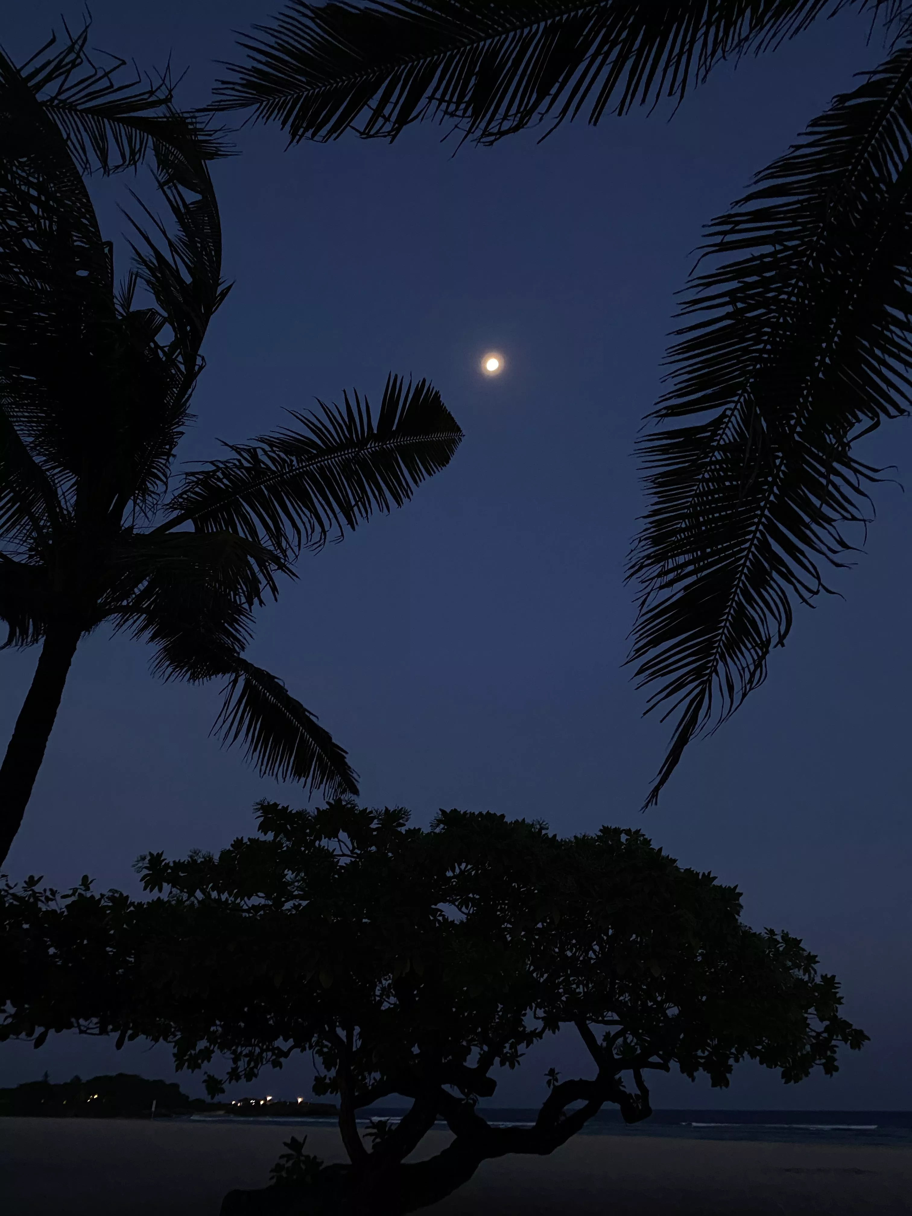 My favorite place. posted by Daaandylion