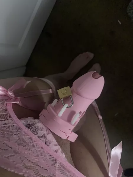 My first cage!💖 by Jkane757