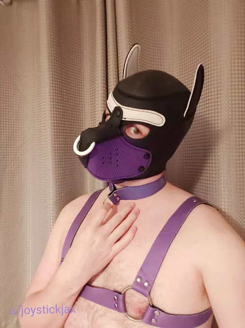 My first collar, feels amazing arroo! by joystickjax