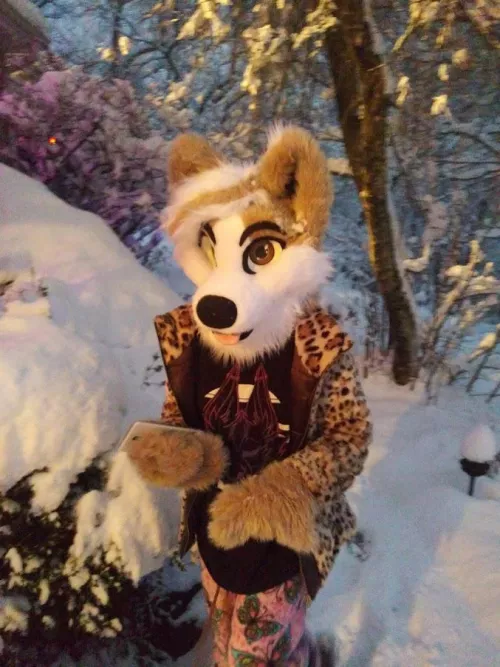 My first Fursuit Friday! This is one of my favorite pictures of mine from last winter by Cape473