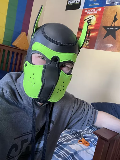 My first hood is here! by PupPhil6090