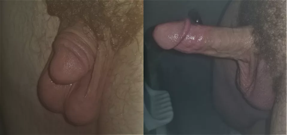 My first post, be nice by Wooly_Willy_