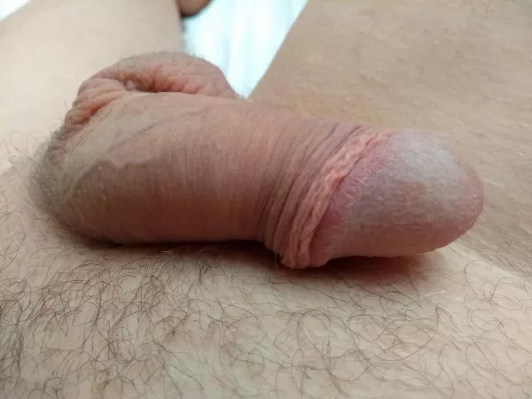 My flaccid penis by nerlitim