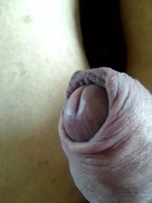 My foreskin is ready to be poured back and sucke by Pretty-Ad-7856