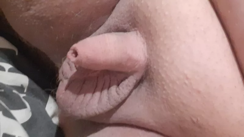 My freshly showered cock this morning. Should I post a hard pic later? :) [30] by Tinytool_4u