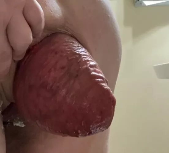 My giant queen by SolaG1998