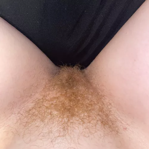 My ginger bush wants a load 😇 by Redxxxsuede