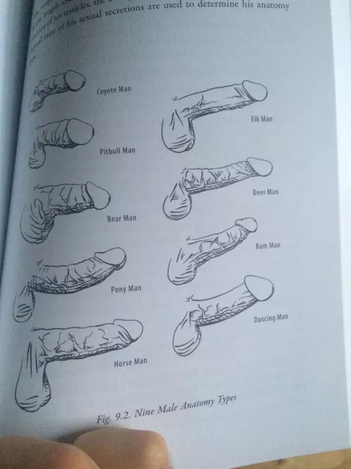 My girlfriend says I'm a deer, which one are you? by Theyounggetstronger