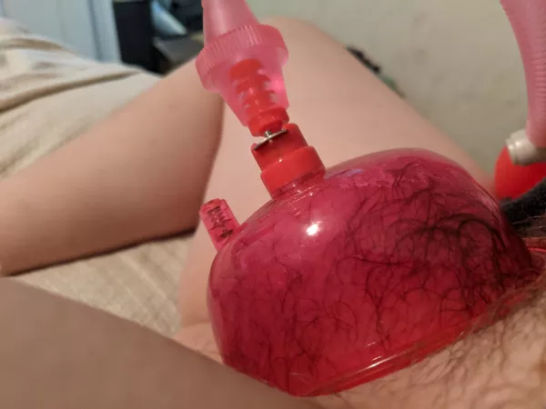 My god I love pumping my [F] needy pussy by keepinghandstomyself