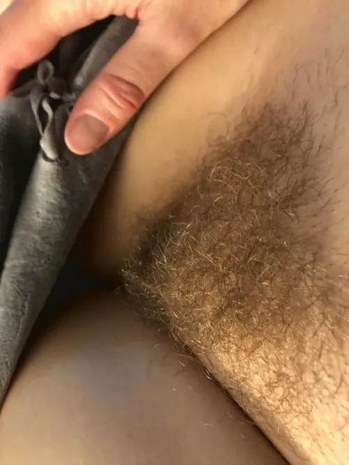 My gorgeous lady's bush! by MrRikkiB