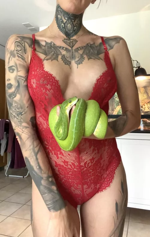 My green tree python by inked_keysha