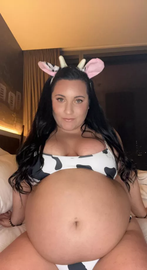 My gut is officially taking over my entire universe. I can’t wait to just be a massive belly blob with little limbs attached… rolled around for feeding and fucking and literally nothing else by curvagecaseyBBW