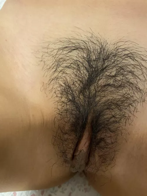 My hairy Asian pussy ♥️ by send_nudes_101