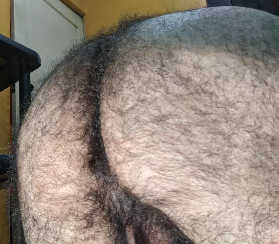 My hairy ass by cocol_hasher