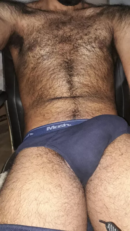 My hairy bulge by hairyhorny766